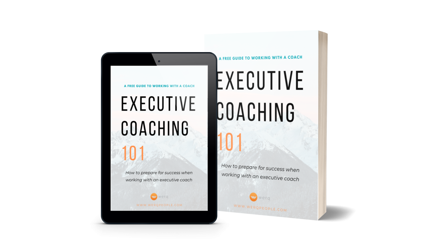 Executive Coaching eBook - Werq